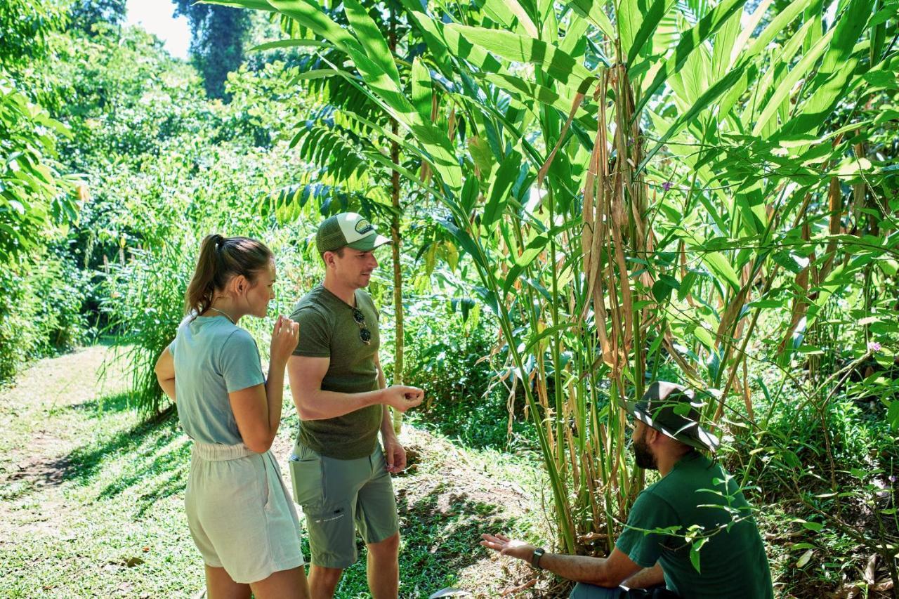 Finca Luna Nueva Lodge La Fortuna Esterno foto