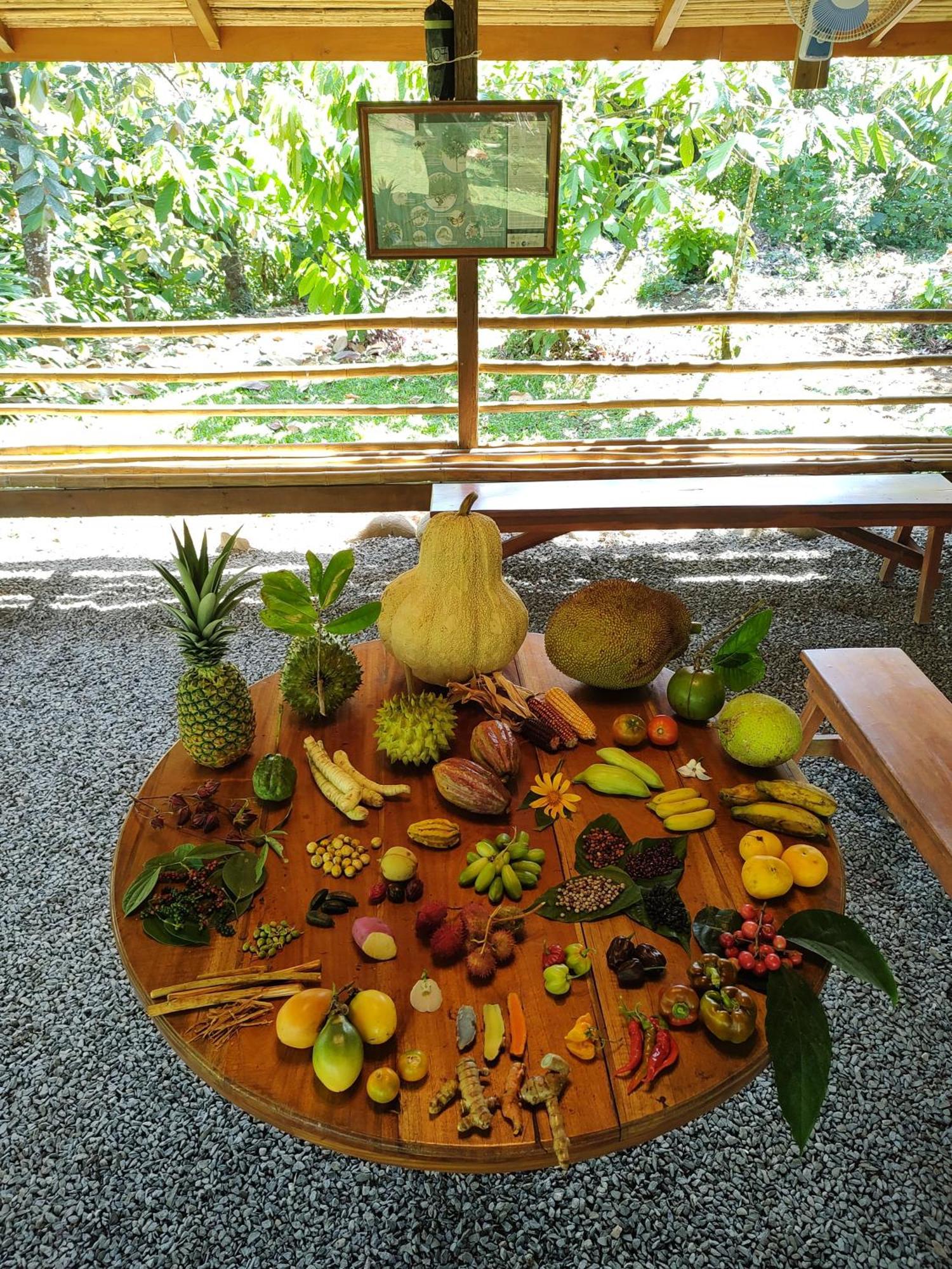 Finca Luna Nueva Lodge La Fortuna Esterno foto